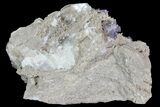 Purple/Gray Fluorite Cluster - Marblehead Quarry Ohio #81192-2